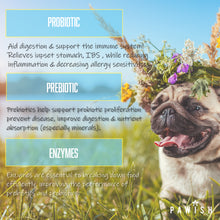 Load image into Gallery viewer, PROBIOTIC 3-IN-1